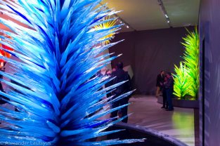 Chihuly-9