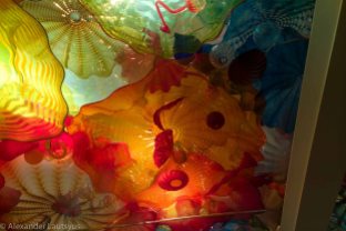 Chihuly-11