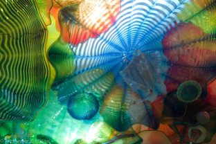 Chihuly-12