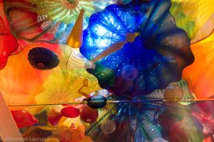 Chihuly-14