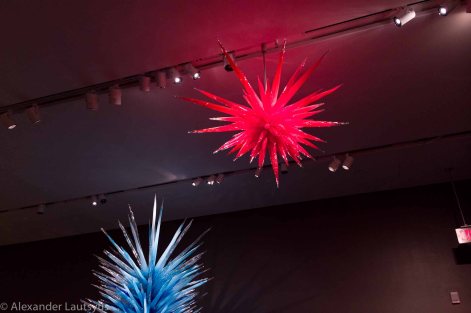Chihuly-16