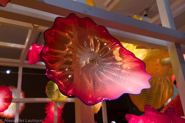 Chihuly-18